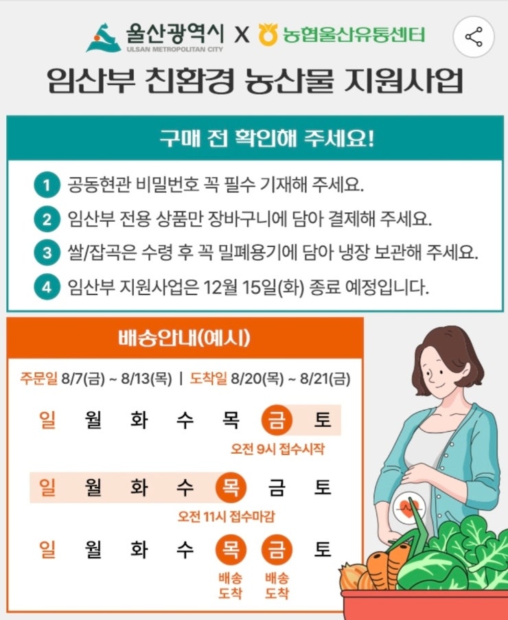 2026 임산부 친환경농산물 꾸러미 신청방법｜울산 임산부 지원사업 24만원