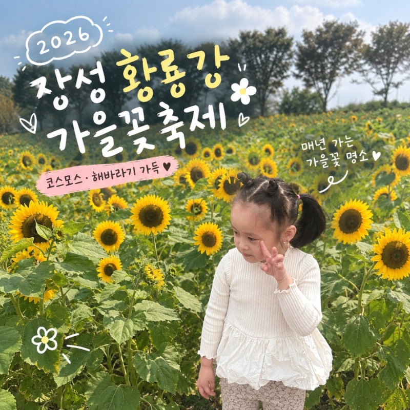 2026 장성 황룡강 가을꽃축제 일정｜매년 찾게 되는 장성 가을꽃 명소, 아이와 다녀온 후기
