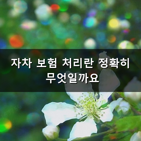 자차 보험 처리에서 확인하는 수리 비용 비교 방법