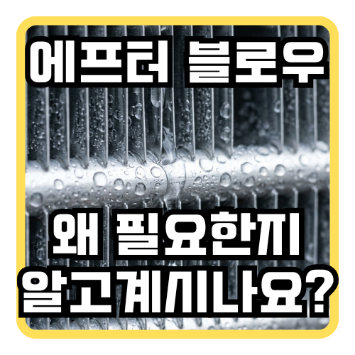 차안에 냄새나고 곰팡이나고 싶지 않다면 애프터블로우 확인하세요