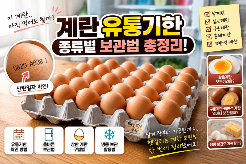 계란 유통기한 │ 날계란·삶은계란·구운계란 보관기간과 냉장 보관법