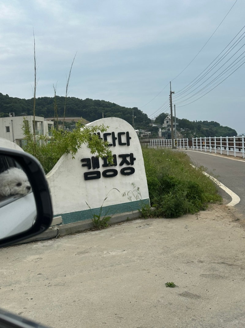 강화도 바다다 캠핑장 솔직후기(A-3사이트) / 애견동반캠핑장/ 강화도캠핑장 / 바다뷰캠핑장 ....