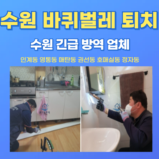 수원 바퀴벌레 퇴치업체 선정고민? 비용부터 확실한 박멸 후기까지!