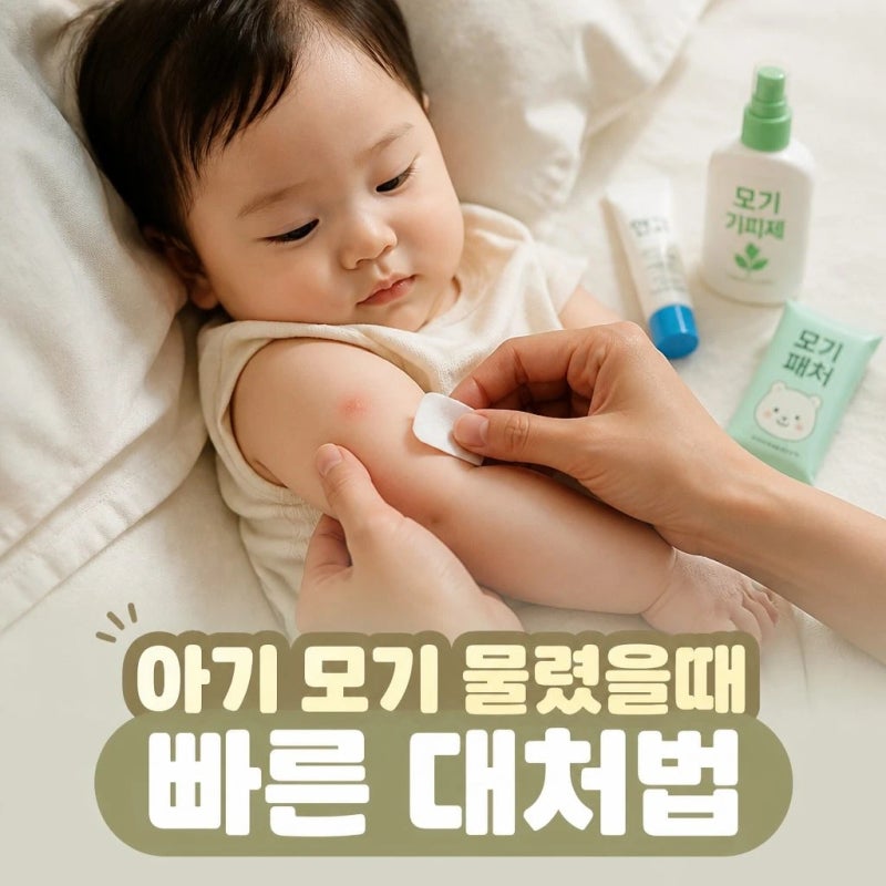 아기 모기 물렸을때 빠른 대처법과 예방법
