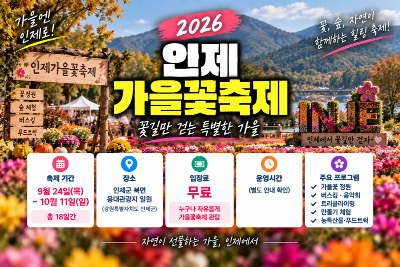 2026 인제 가을꽃축제 총정리(+일정 기간 입장료 운영시간 주차 볼거리 프로그램)