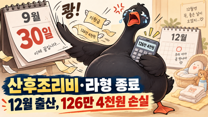 경기도 산후조리비·산후도우미 라형 종료…12월 출산 예정인 내가 잃는 126만원