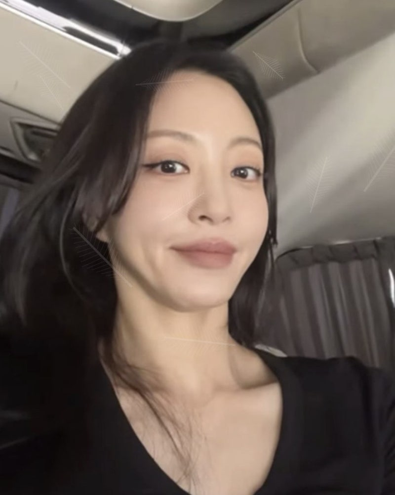 한예슬 임신설, 육아 웹툰 한 장이 만든 오해와 진실