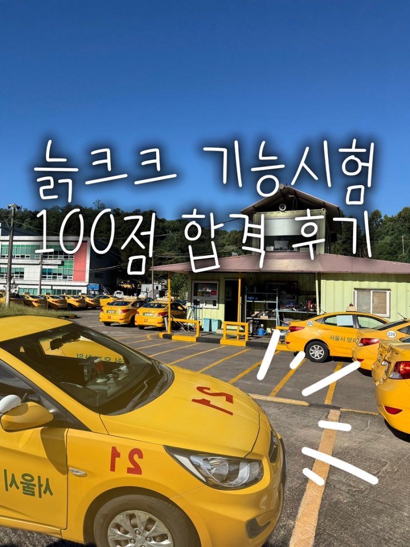 ⏰22:00 어른 되기 #2 - 미뤘던 일 뿌수기: 운전면허 기능시험 100점 후기 @ 양재운전면허학원