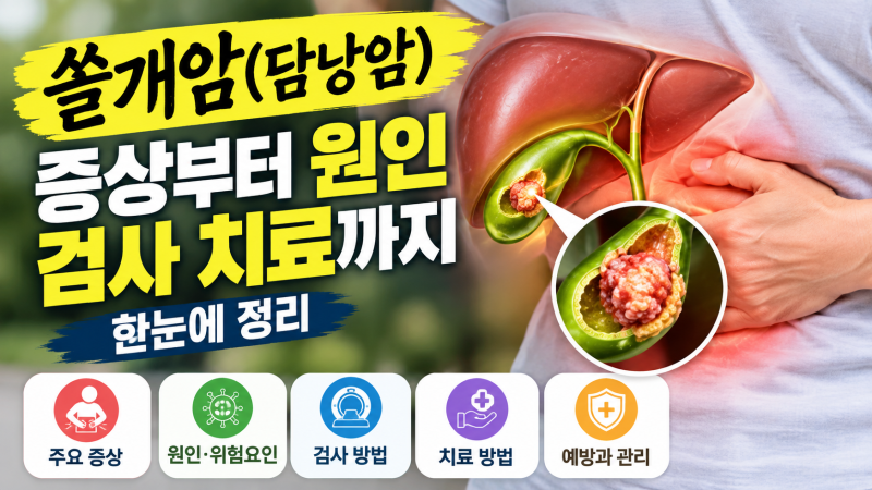쓸개암 담낭암 증상 총정리 초기증상부터 원인 검사 치료까지