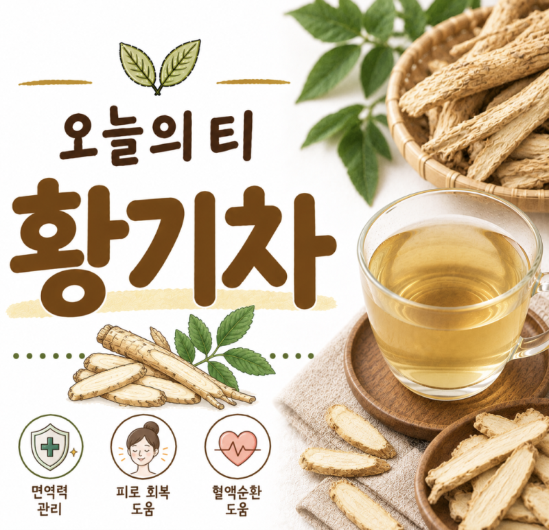 황기차 효능과 부작용 | 땀과 기운을 다스리는 온기, 면역·활력 관리 [오늘의 티]