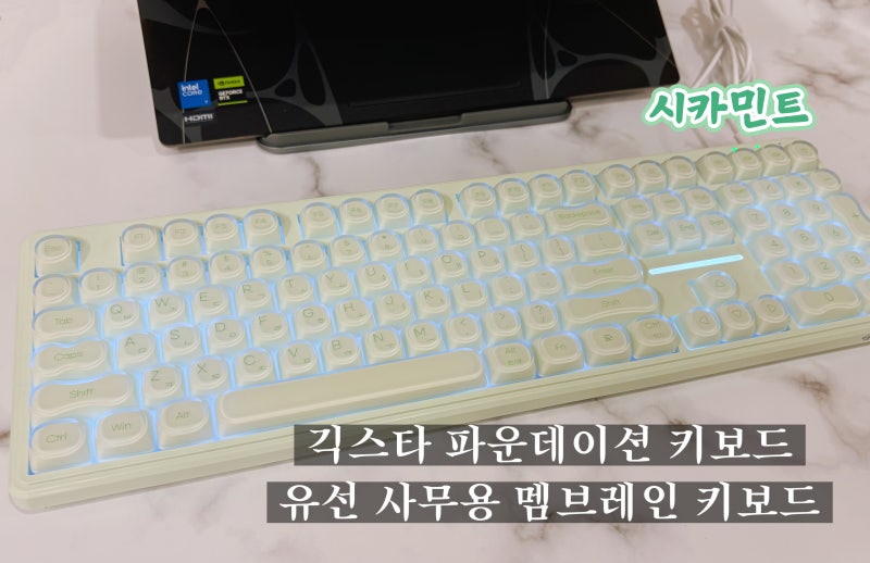 멤브레인 사무실 풀배열 키보드 추천 긱스타 파운데이션 시카민트 키보드