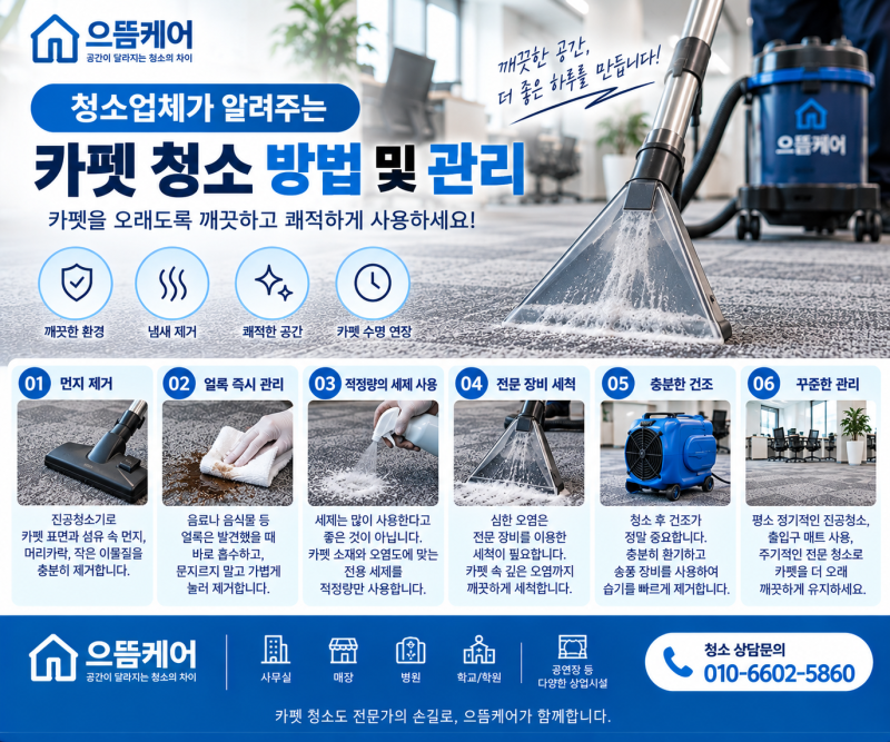 (정보) 청소업체 으뜸 케어가 알려주는 카펫(카페트)청소 방법 및 관리법 / 카펫(카페트) 얼룩....