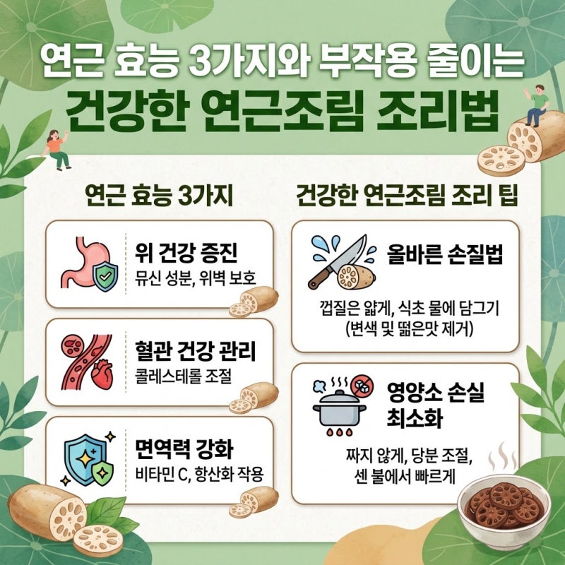 연근 효능 3가지와 부작용 줄이는 건강한 연근조림 조리법
