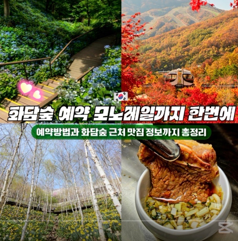 화담숲 예약 입장료 모노레일까지 한번에 끝내는 방법(화담숲 근처 맛집 정보까지)