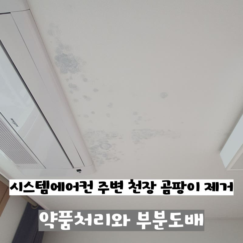 시스템에어컨 주변 천장 곰팡이 제거｜오염 벽지 철거 후 약품처리와 부분도배