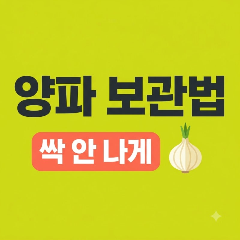 양파 싹 안 나게 보관하는 법! 싱싱함 유지하는 3가지 꿀팁