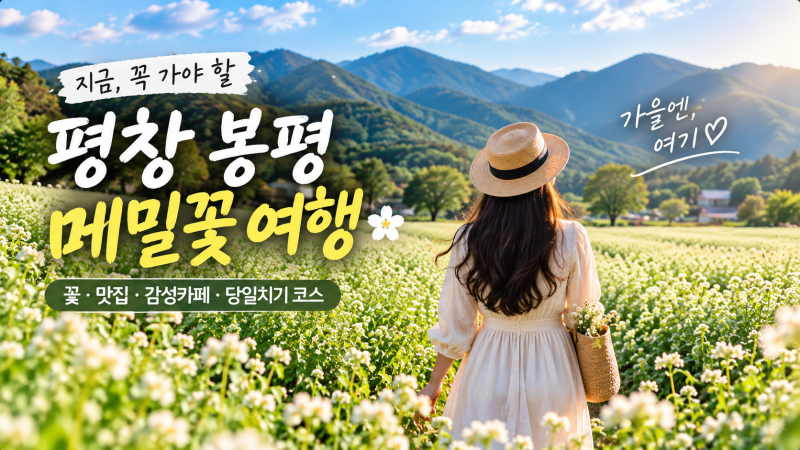 2026 평창효석문화제 일정 총정리｜봉평 메밀꽃축제 주차부터 하루코스까지