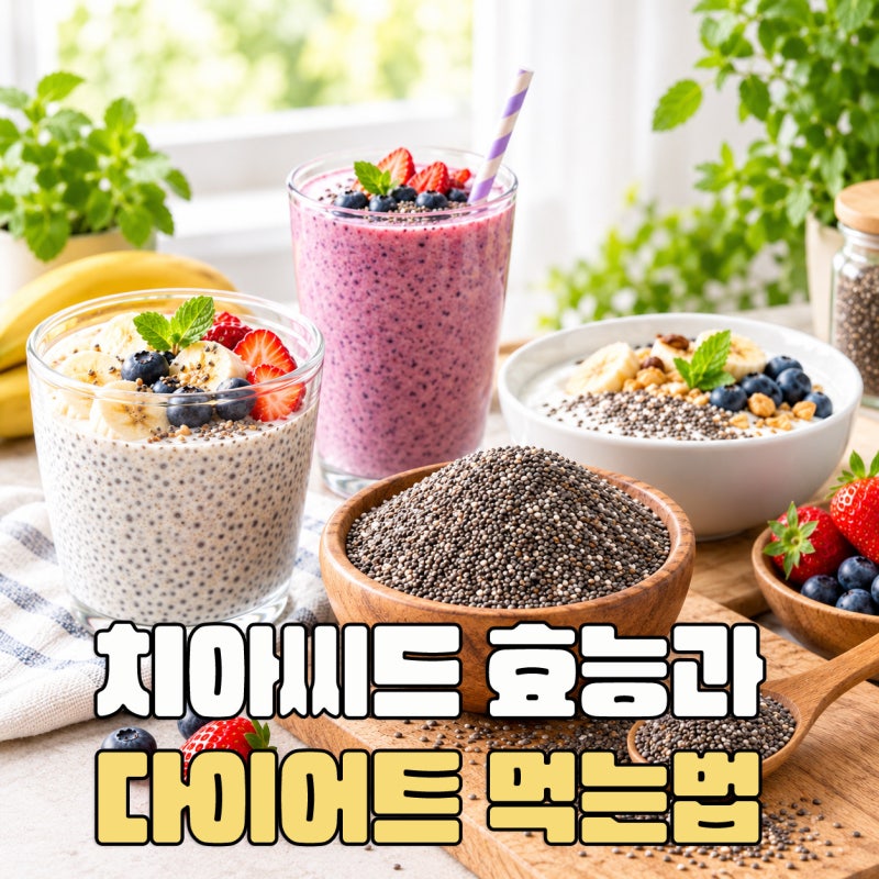 치아씨드 효능 10가지+다이어트 먹는법과 하루 섭취량
