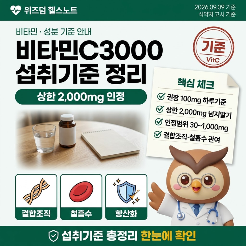 비타민C3000 총정리 (권장섭취량·상한섭취량·인정범위)