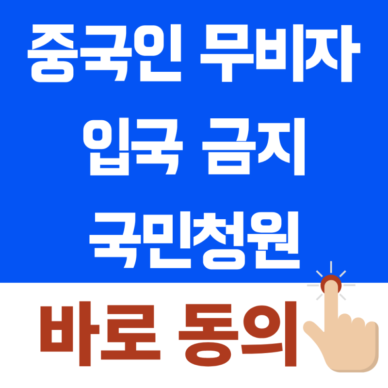 2026 중국인 무비자 입국 반대 청원 링크 1분만에 동의 방법