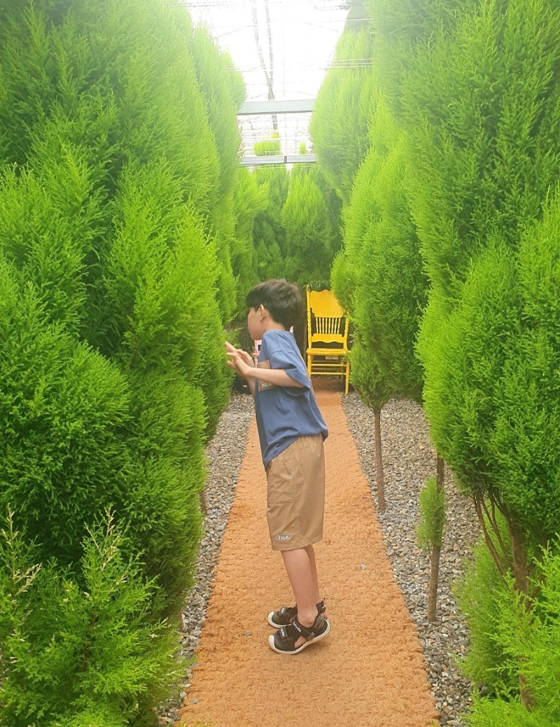 김포 아이랑 가볼만한곳 월드농원 식물체험, 제일영농 벼꽃농부 오란다 만들기