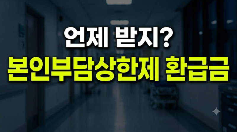 본인부담상한제 환급금 지급일 조회 방법 및 실비보험 중복 여부 총정리