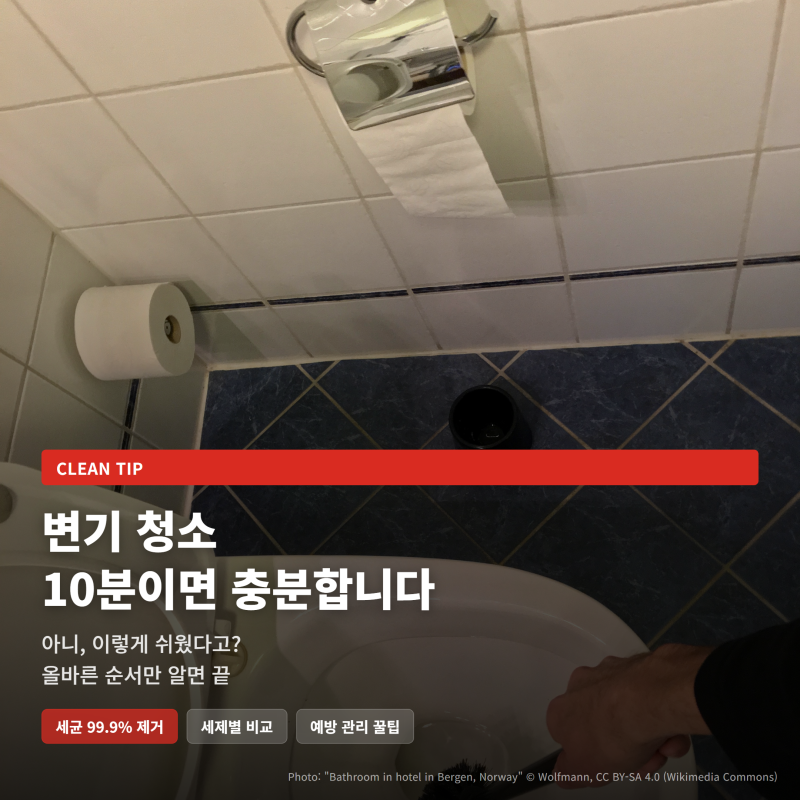 변기 청소 방법, 10분이면 끝나는 순서 (요석·스케일)