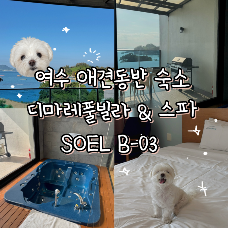 Yeosu Pet-Friendly Accommodation: Dimare Pool Villa & Spa, Large Jet Spa in Dolsan-eup, Recommended Spa Pension, Room B-03 (My Honest Review)