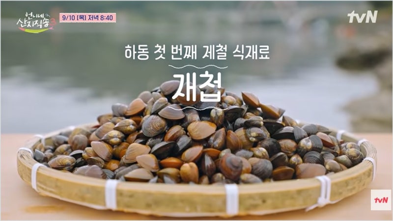 언니네 산지직송 3 하동편 매계마을 숙소 섬진강 재첩 조업