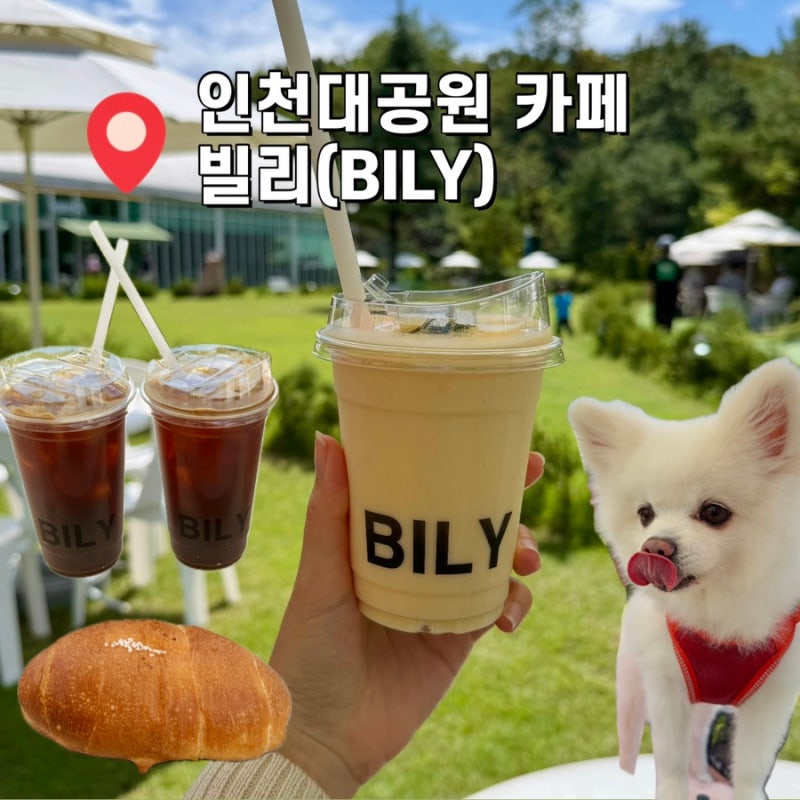 인천 애견동반 카페 빌리 인천대공원 근처 베이커리 맛집 주차 야외운동장 식물원 솔직 후기