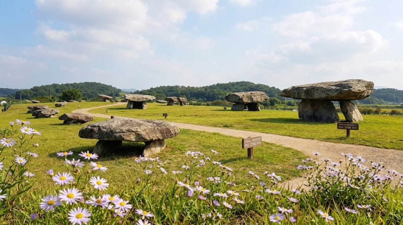 전남 화순 고인돌공원, 유네스코 세계문화유산 화순고인돌유적지 완벽 가이드