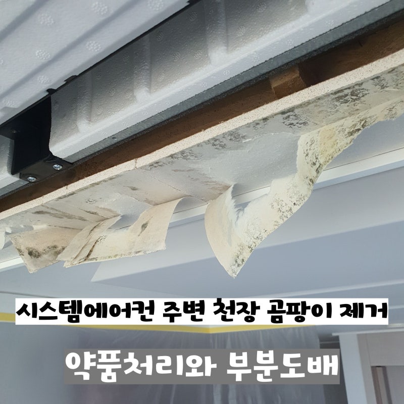 시스템에어컨 결로 곰팡이 보수｜천장 벽지 철거 후 약품처리·방지제 도포·부분도배