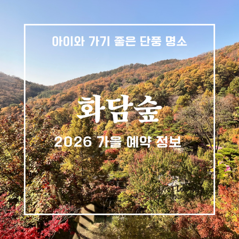 2026 화담숲 단풍시기 예약방법 | 아이와 가기 좋은 경기도 단풍명소(입장료, 모노레일, 주차, ....