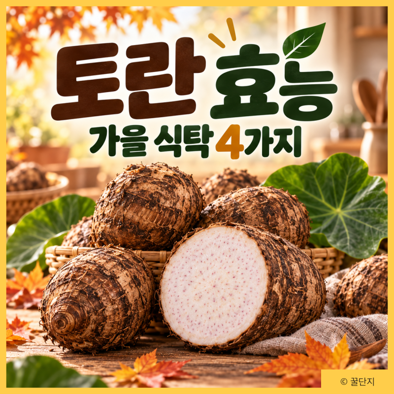 토란 효능 영양성분 먹는법 손질법 부작용