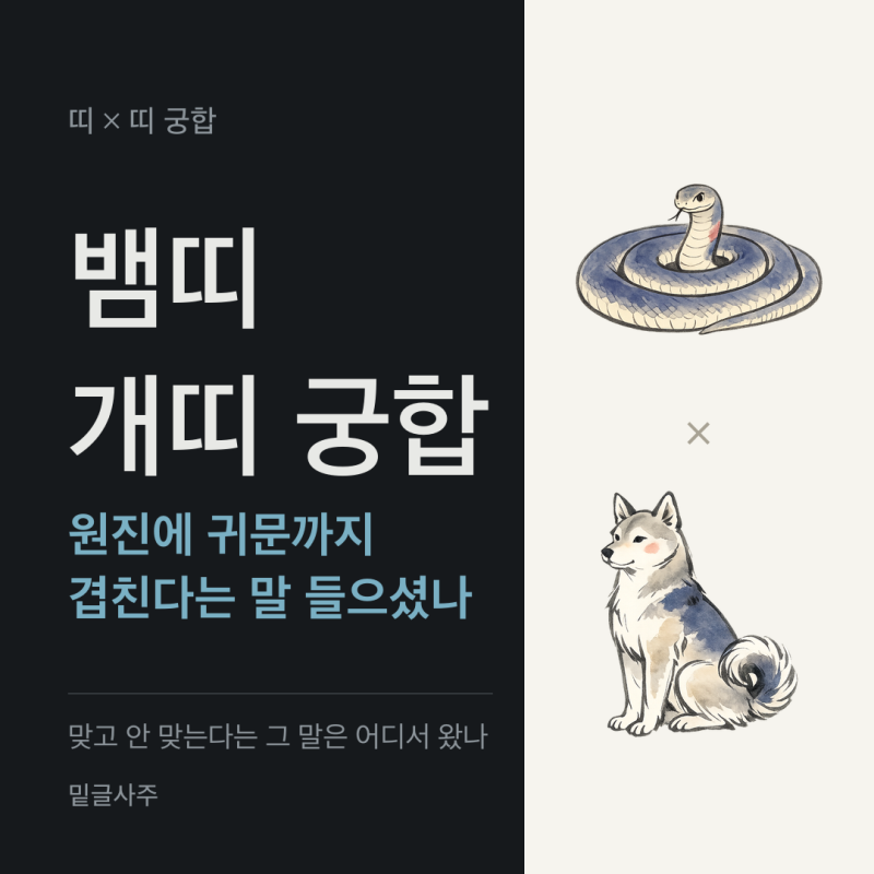 뱀띠 개띠 궁합, 원진에 귀문까지 겹친다는 말 들으셨나요