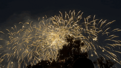 2026 여의도 불꽃축제 후기 ✨ [20시간 노숙] 여의도 한강공원 이랜드 크루즈, 진성나루 바로 ....