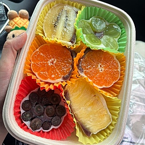 제주 동문시장 과일모찌 맛집 운화당｜예약 후 픽업 후기