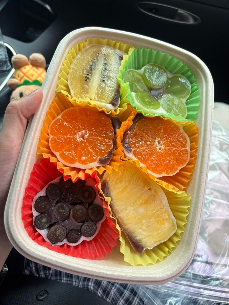 제주 동문시장 과일모찌 맛집 운화당｜예약 후 픽업 후기