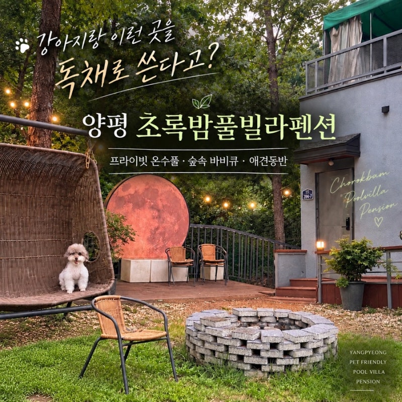 양평 애견동반 풀빌라 추천! 프라이빗 온수풀부터 숲속 바베큐까지! 강아지와 보낸 특별한 ....