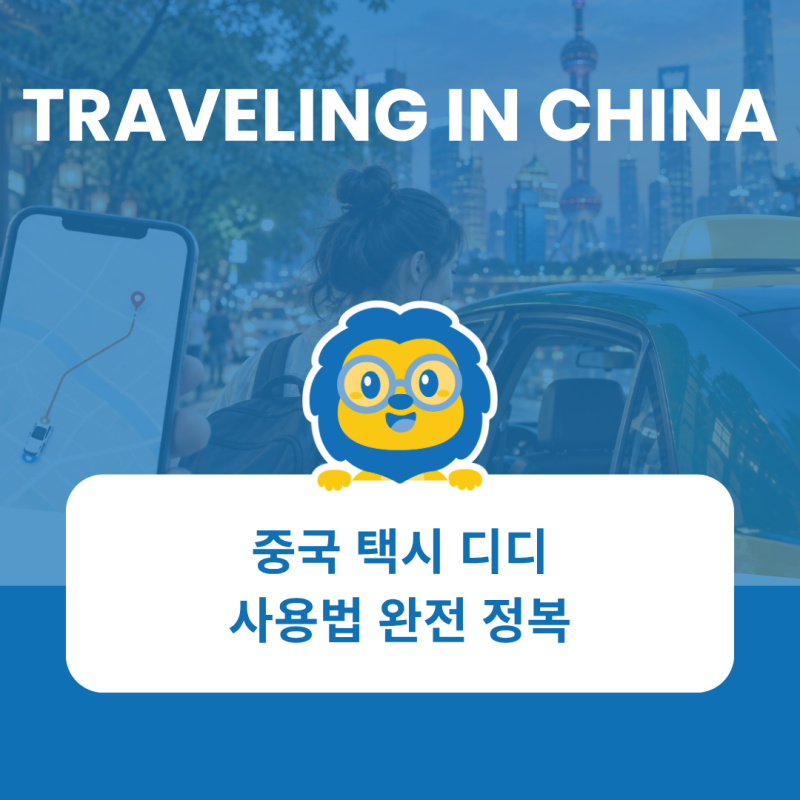 중국 택시 디디 사용법 완전 정복