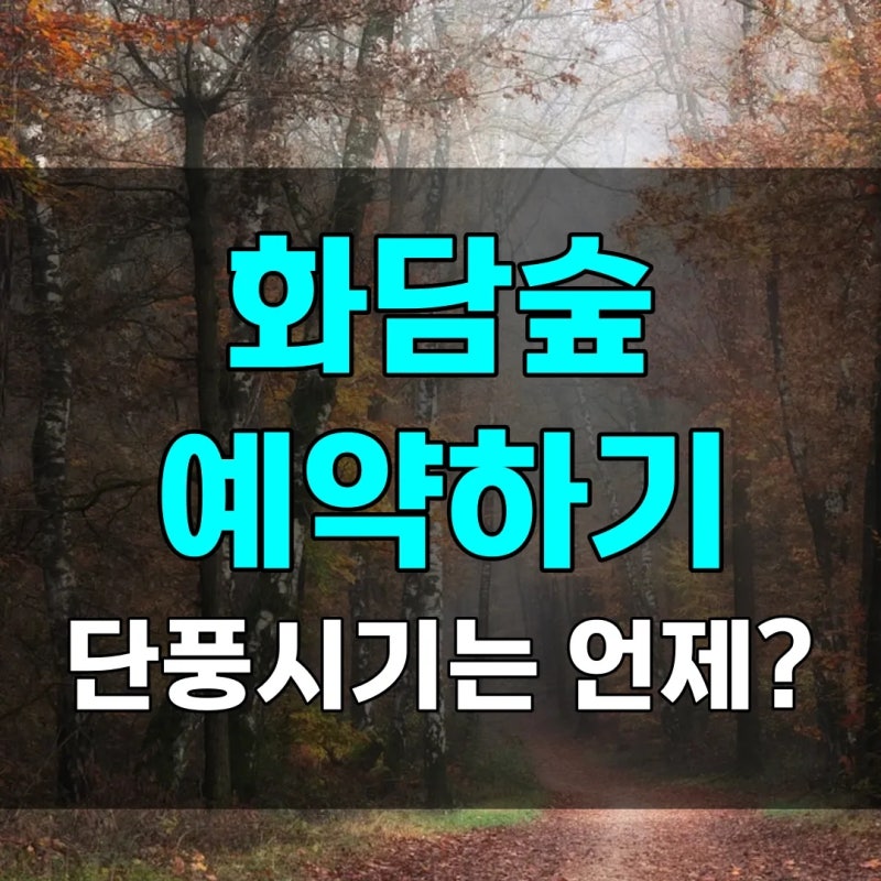 곤지암 화담숲 예약하기 | 모노레일 요금, 단풍시기 언제