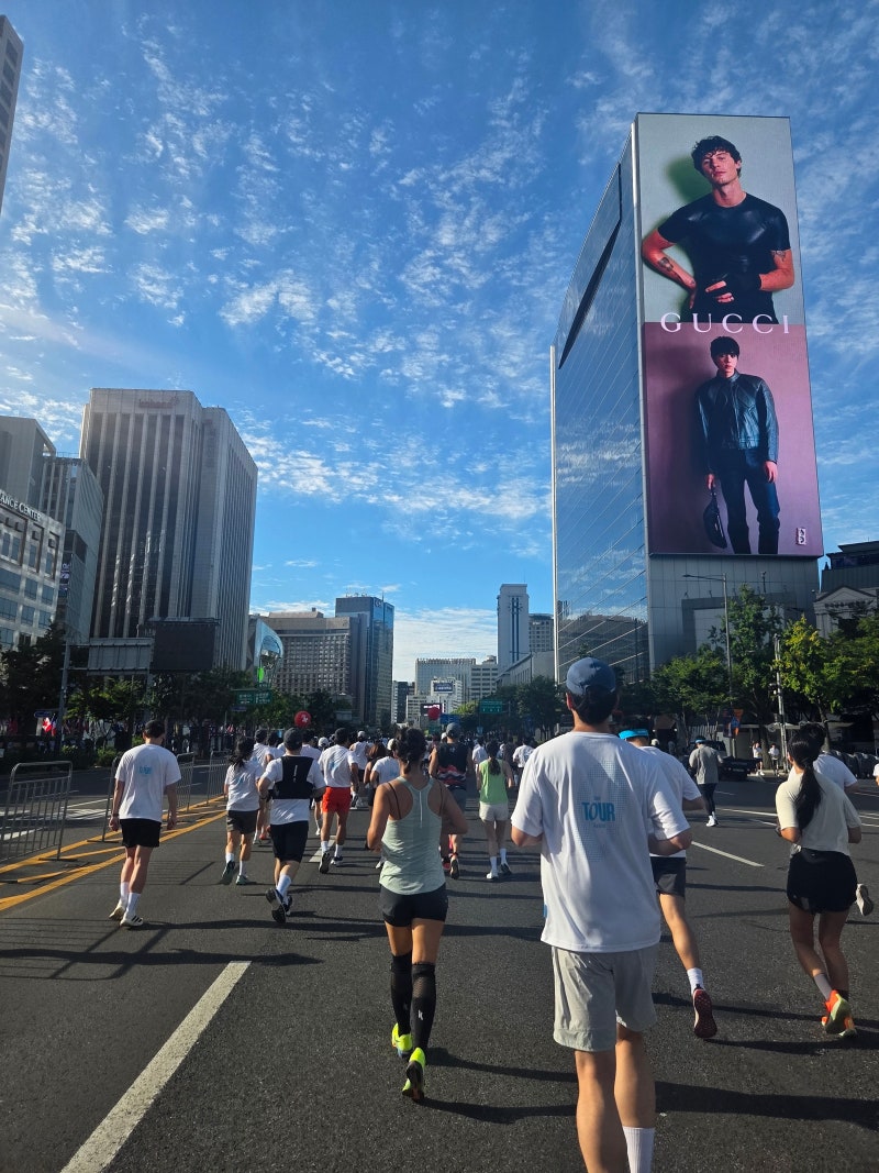 [YTN 마라톤] 시청 대로변을 달리는 2026 YTN 마라톤 11km/하프 참여 후기