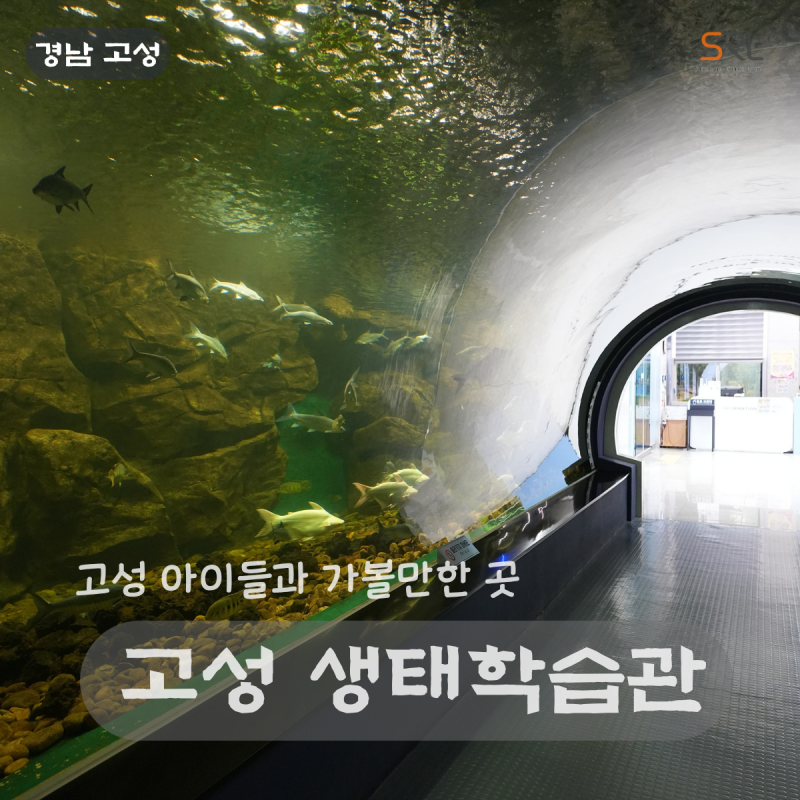 Goseong Ecological Learning Center: Free Facilities for Kids, a Must-Visit Spot
