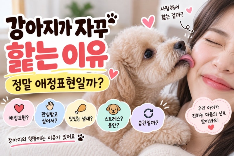 강아지가 보호자 손이나 얼굴을 핥는 이유, 애정표현일까?