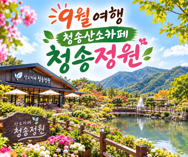 9월 경북 청송 가볼만한곳｜당일여행지 산소카페 청송정원 백일홍