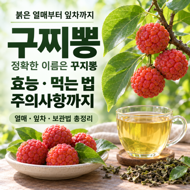 구찌뽕 효능과 먹는 법, 꾸지뽕 열매·잎부터 부작용과 보관법까지