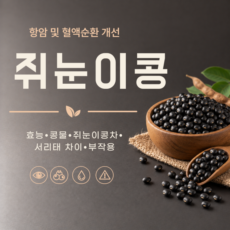 쥐눈이콩 효능 7가지 물 두유 차 밥 서리태 차이 부작용