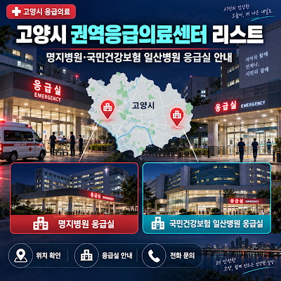 2026년 고양시 권역응급의료센터 리스트는?｜명지병원·국민건강보험 일산병원 응급실 안내