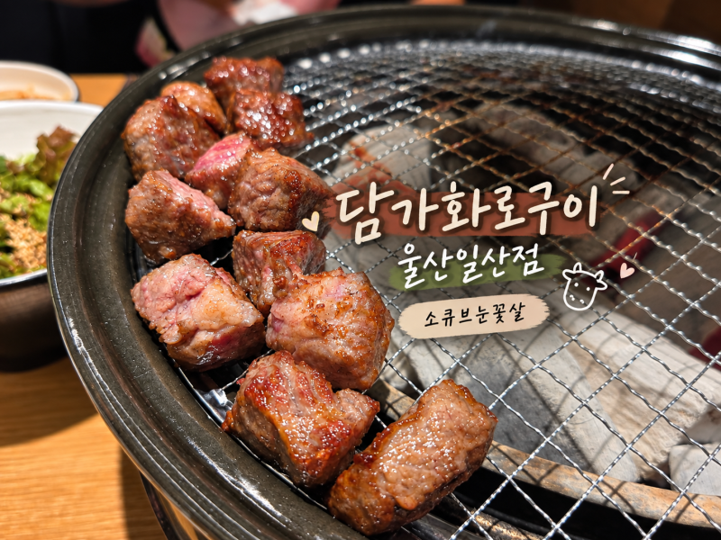 울산 동구 일산 해수욕장 맛집 담가화로구이 울산일산점 후기