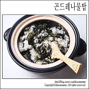곤드레나물밥 레시피 건곤드레나물 삶는 법